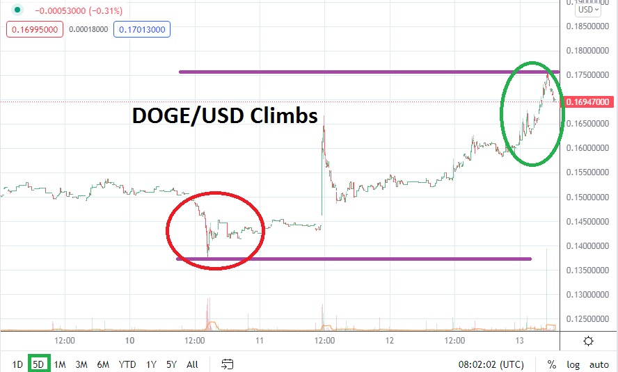 Análisis Técnico del DOGE/USD